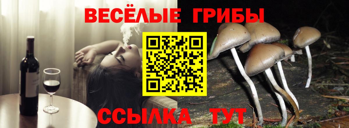 Волоколамск  Псилоцибиновые грибы ЛСД  Вход с VPN 